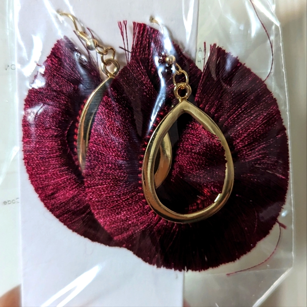 Fringe earnings